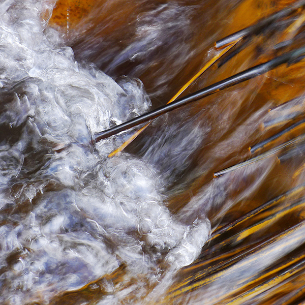 Rushes blackened under a blanket of snow regain the air.
