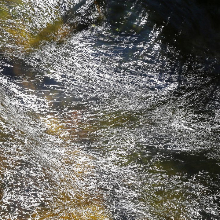 Afternoon sun decorates the water's surface with trails of light.  Bankside grasses cast a dark shadow.
