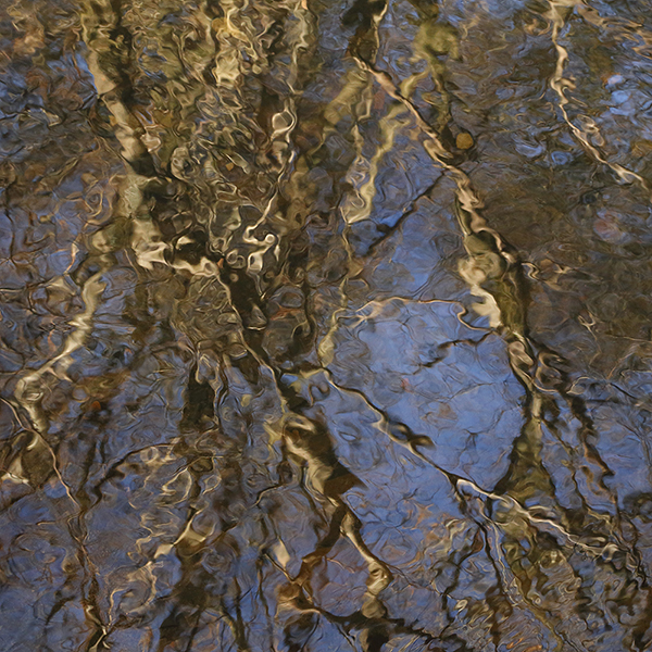 On a clear day at the end of the year, low sun penetrates usually dark places.  Multi-stemmed alder jostle for a view of themselves in the River Dove.  Stems and branches intermingle, fault-lines and fissures on polished blue marble.