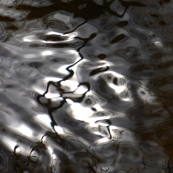 The burnished silver of the stream shimmers in the breeze.  Reflected branches fracture the surface sheen.